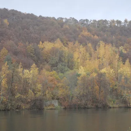 Dom wakacyjny Le Carmel Fumay